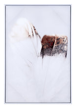 Load image into Gallery viewer, Delicate Feather Canvas Multicolor - Versatile Home